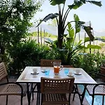 Sweet Sun Apartments Sorrento