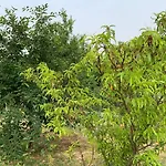 La Casa Di Campagna