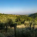 Stella Sud Podere Carbone