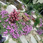 Villa Fiorita