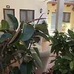 B&B Incanto