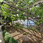 Villa Il Corallo By Interhome