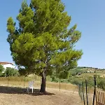 Villetta Nel Verde