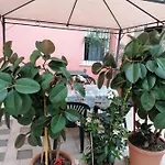 In Centro