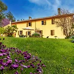B&B Glicine