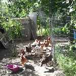 L'Americano B&B