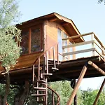 The Treehouse - Casa Sull'Albero Al Golden Camp