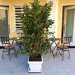 La Casa Di Mina
