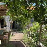 Cetara Camping Amalfitan Coast