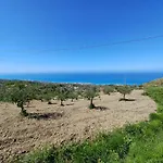 Tenuta Dei Biondi Ulivi B&B