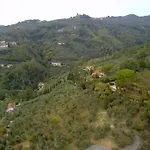 Pettocannella