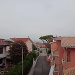 Le Notti Di Alice