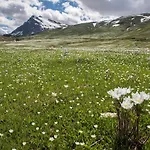 Centro Di Aosta - Bilocale Grazioso E Silenzioso