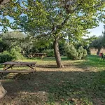 Faustina - Agriturismo La Valentina