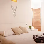 Aosta Mountain Loft - Netflix & Relax