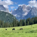 Des Alpes C Flat 11
