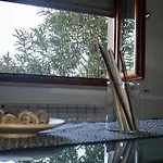 Appartamento In Centro Nettuno