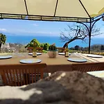 Ippocampo Blanc