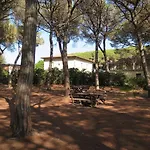 Apartment Ventola-1 By Interhome