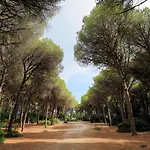 Holiday Home Teura By Interhome