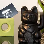 Agatopisto Animo Salmastro