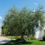 B&B Casale Savini