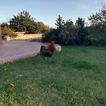 Masseria Ottaiano