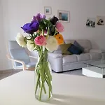A Casa Scipione