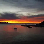 Il Pesce Azzurro