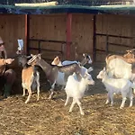 La Villa De I Casali Del Troscio