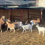 La Corte De I Casali Del Troscio