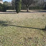 Villa Flipper