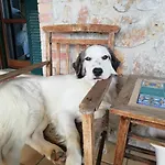 Masseria Ottaiano