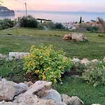 Gaetammare