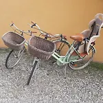 Alpe Mare