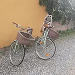 Alpe Mare