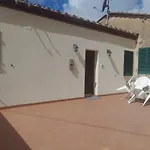 Fico D'India