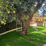 Il Veliero