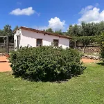 Lo Sguardo Sul Golfo