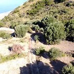 La Formica