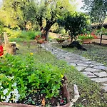 Le Casette Di Nino