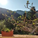Casa La Rondine
