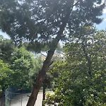 Oasi Verde