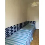 Condominio Cedri