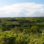 Il Riccio Volante