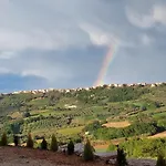 Gemelli