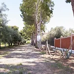 Don Bruno Homes
