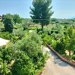 Le Palme