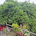 Villa Lisabella