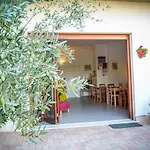 Il Riccio Volante